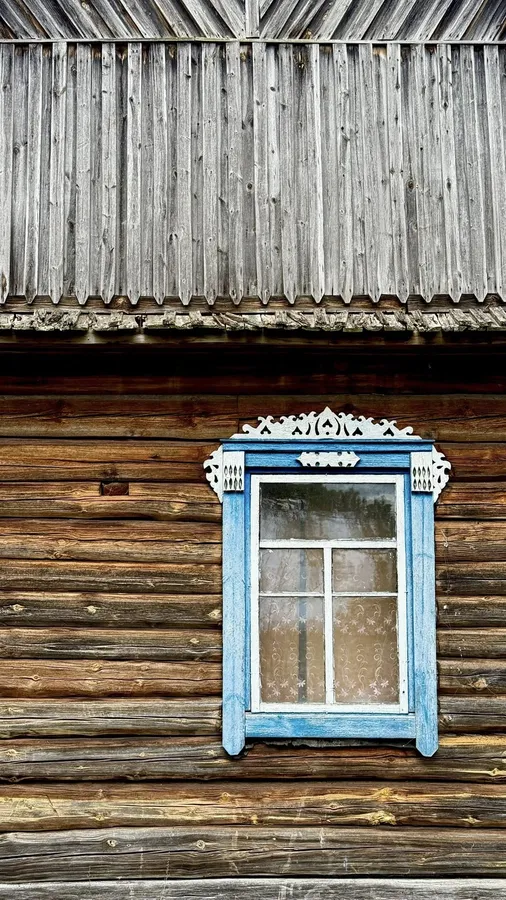 Біля древньої сосни звели будинок