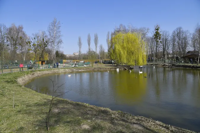 Весна у Луцькому зоопарку: показали чарівливі фото