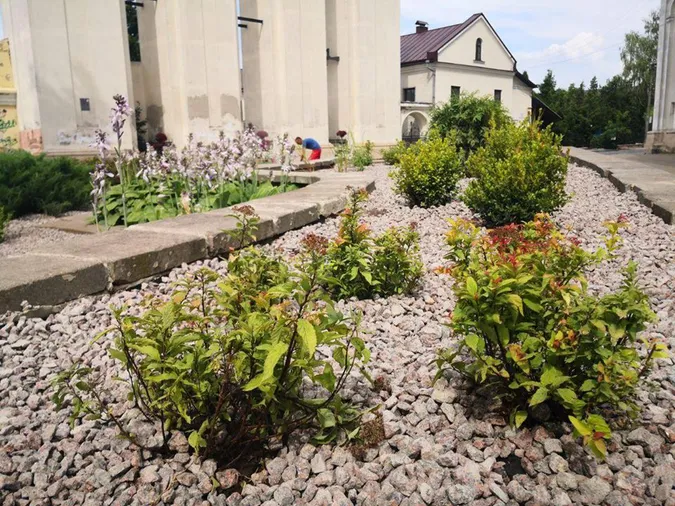 Стару частину Луцька озеленили (фото)