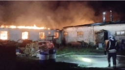 Вогонь охопив корівник і свинарник: на Володимирщині горіла ферма з тваринами (фото)