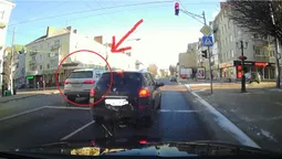 У Луцьку водій проїхав на «червоний», та ще й сигналив пішоходам (відео)