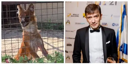 «Усиновив» вовка: відомий у 2000-х ексдіджей підтримав Луцький зоопарк