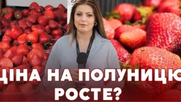 Сезон стартував: скільки коштує полуниця на луцькому ринку та чи чекати здешевлення (відео)