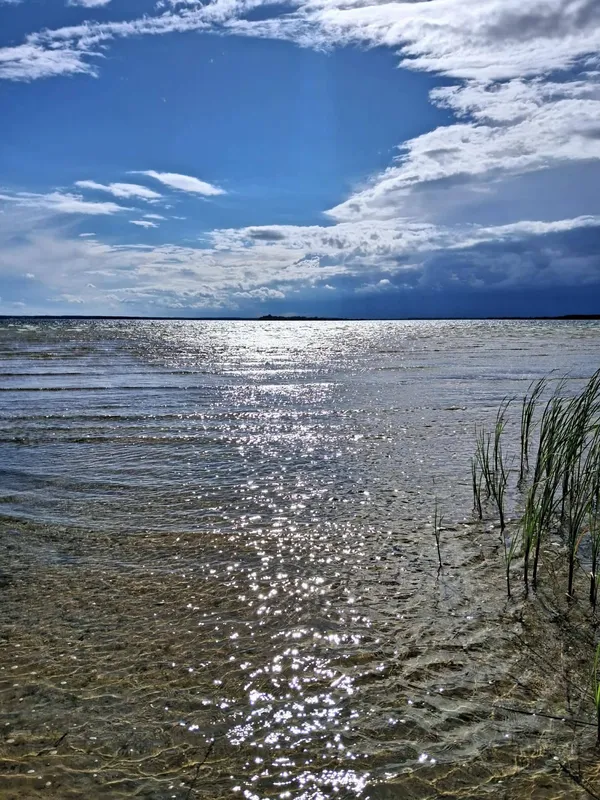Світязь вразив незвичним видовищем: вода в озері стала схожою на рідке срібло (фото)