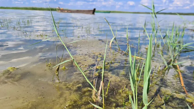 «Брудна, мутна та зелена», – Іван Мирка про воду на Світязі (фото)