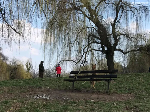 Безлюдна автостанція і «туси» в парку: як карантинить Луцьк 19 березня (фото)