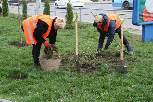 Парки, сквери, вулиці: у Луцькій громаді восени висадили 254 дерева та 285 кущів (фото)