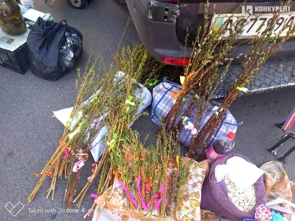 Не я б’ю – верба б’є: в яку ціну на луцькому Старому ринку верба (фото)
