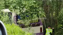 На трасі Київ-Ковель-Ягодин маршрутка злетіла у кювет (відео)