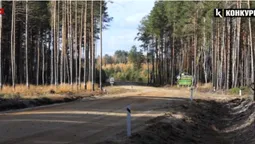 Волинянам дозволили збір грибів і ягід ще у двох районах (відео)