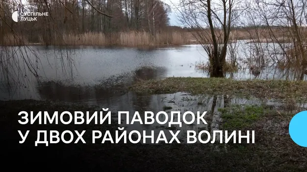 На Волині – зимовий паводок: у двох районах вже відкачали 7 млн кубометрів води (відео)