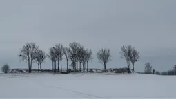 Таємниця під валами: під Луцьком стоїть форт, що не знав бою (фото)