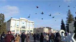 Що та за скільки можна придбати на різдвяному ярмарку в Луцьку (фото)