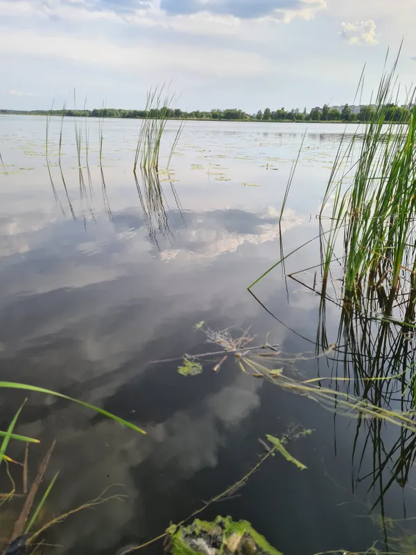Неймовірна краса волинської річки (фото)