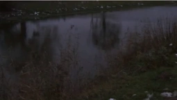 Центральний парк Луцька заполонили «моржі» (фото, відео)