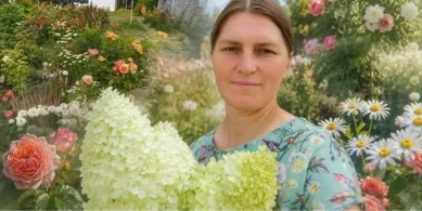 Наче у ботанічному саду: волинянка вирощує сотні видів унікальних троянд та гортензій (фото)