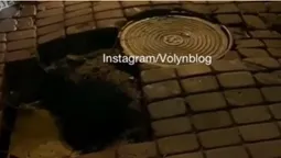Загроза для водіїв: у центрі Луцька провалилася бруківка (відео)