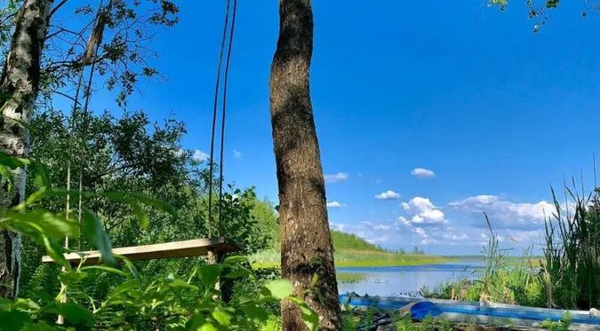 Аномальний ліс і загублене озеро: чим особливий курортний Шацький нацпарк