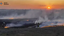 Вогонь знищує гектари: на Волині палають поля та очерет (фото)
