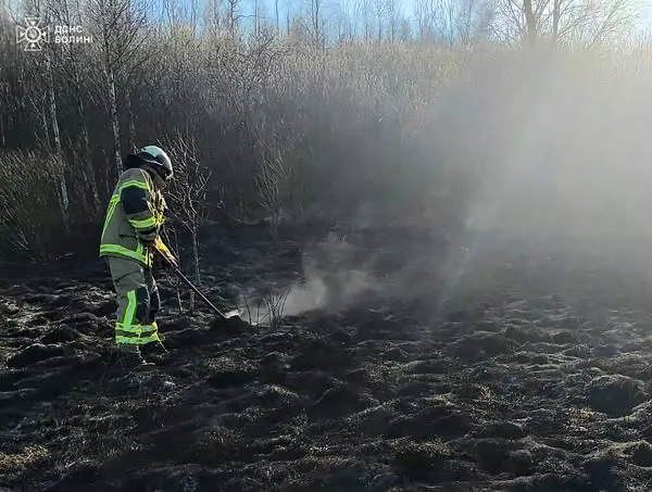 На Волині вигоріло понад 5 гектарів сухостою (фото)