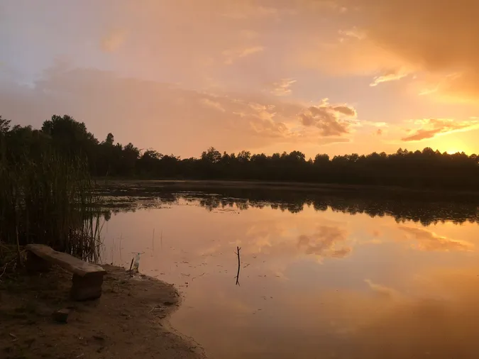 На Волині є унікальне крихітне озеро з золотистою водою (фото)