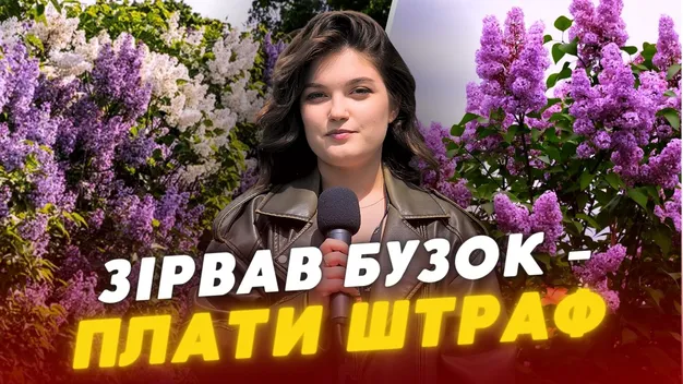 «Зірвав бузок – плати штраф»: у скільки лучанам обійдеться порушення благоустрою міста (відео)