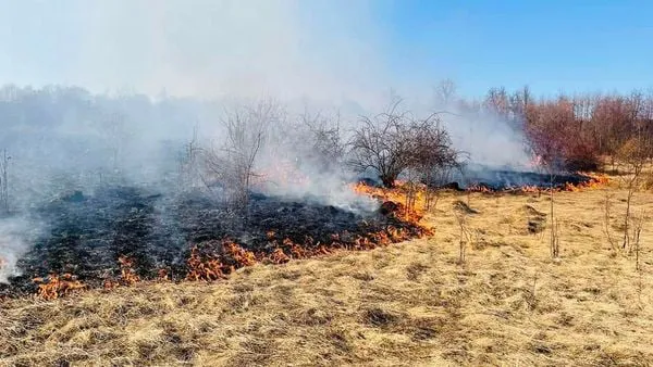 У Липинах горіли три гектари трави й очерету