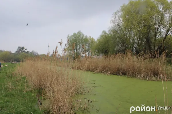 Ботанічний сад на Волині може стати ще кращим
