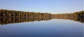Острів, який зник під водою, і «гліцеринова» вода: чим дивують три озера Полісся (фото)