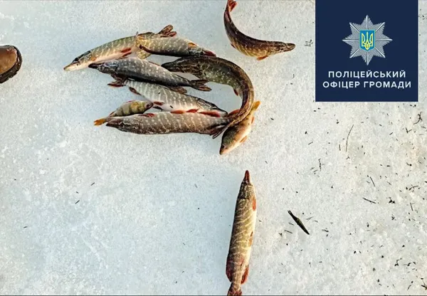 На Волині спіймали браконьєрів, що сітками ловили рибу у річці
