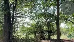 Луцькі спецпризначенці показали, як «гарантують веселі вихідні» окупантам (відео)