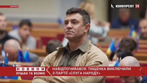 Довідпочивався: Тищенка хочуть виключити з партії «Слуга Народу» (оновлено, відео)