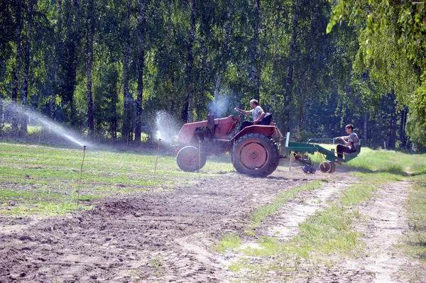  Волинь без  сосен: лісівники попереджають (фото)
