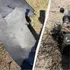 «Не встигають збивати»: у рф заявили про удари українськими реактивними дронами
