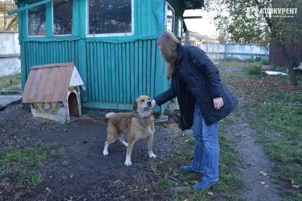 Про реалії та перспективи луцької «Ласки»: інтерв’ю з Наталією Рудь