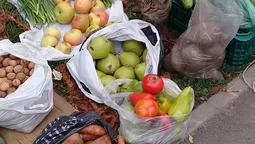 Про "домашні" яблука і овочі без хімікатів (фото)
