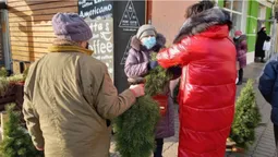 Один день до свята: скільки коштують ялинки біля Старого ринку у Луцьку (фото)