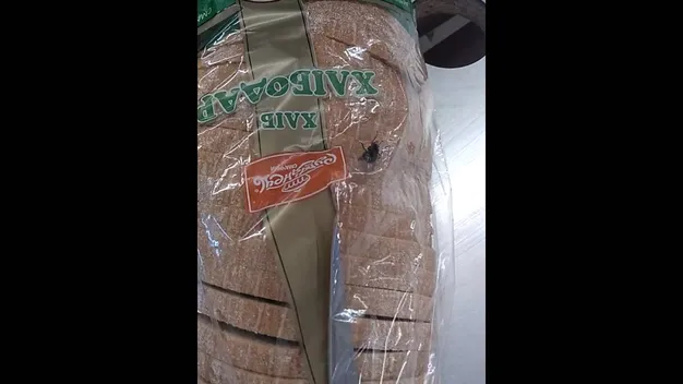 Вжити до: у луцькому «Вопаці» продають запліснявілий сир і хліб із «сюрпризом» (фото, відео)