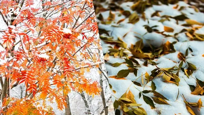 Чи випаде сніг в Україні найближчими днями