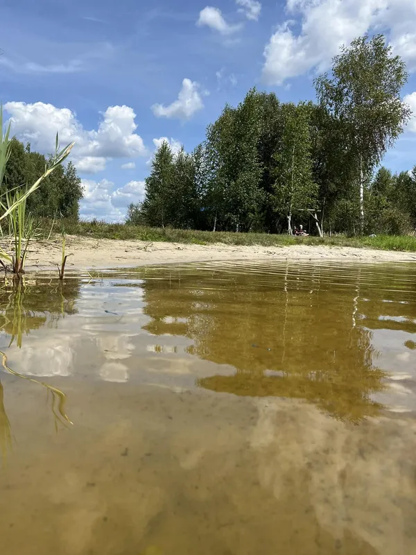 Куточок раю далеко від людей: показали світлини мальовничого озера на Волині (фото)
