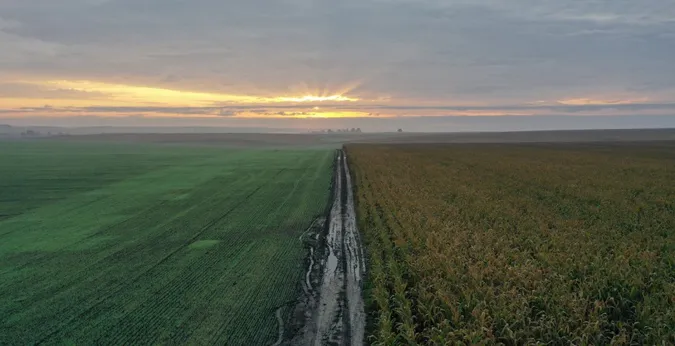На Волині в депутата хочуть забрати землю, яку він сам собі виділяв