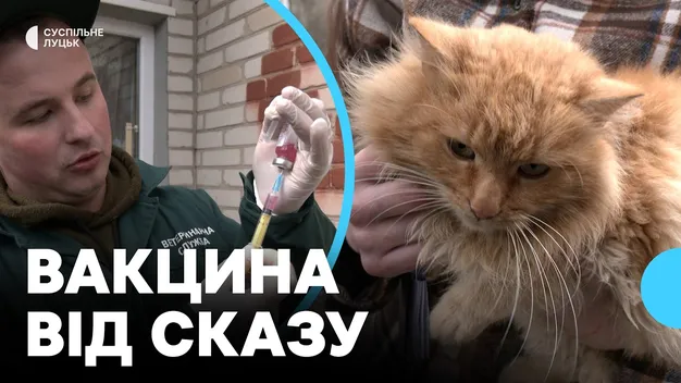 На Волині у селах вакцинують від сказу домашніх тварин (відео)