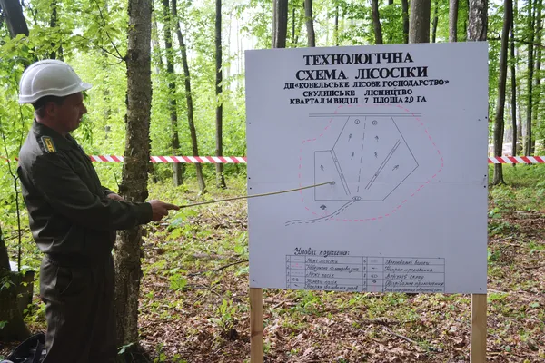 Головний інженер Сергій Петрук розповідає про розташування на ділянці всіх складових лісосіки