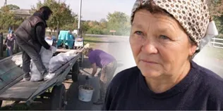 «Ділимося тим, що маємо»: волинське село зібрало тонни овочів для лікарні (фото)