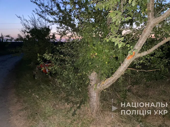 Дві восьмикласниці у Ковелі в'їхали в дерево на квадроциклі (фото)