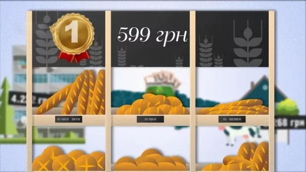 Їжа на місяць: скільки грошей «проїдають» українці (інфографіка)