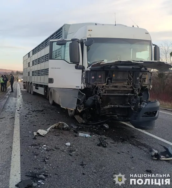 На Львівщині в жахливій автотрощі загинули двоє людей (фото)