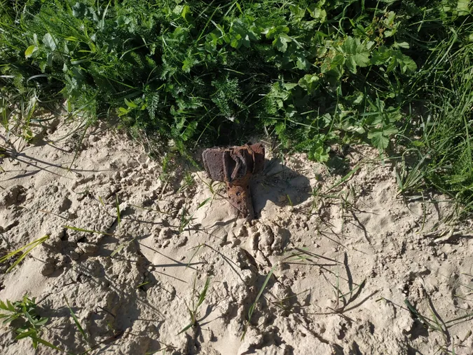 На Волині грибники знайшли в лісі боєприпаси