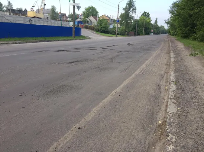 У Луцьку на двох вулицях у вибоїнах посадили квіти (фото, оновлено)