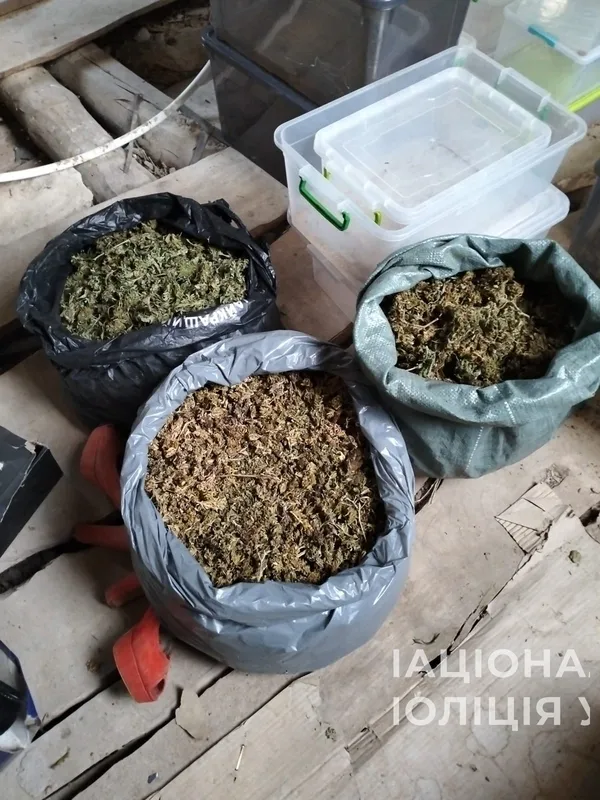 Смаколики для наркоманів: на Волині подружжя торгувало печивом з канабісом (фото, відео)